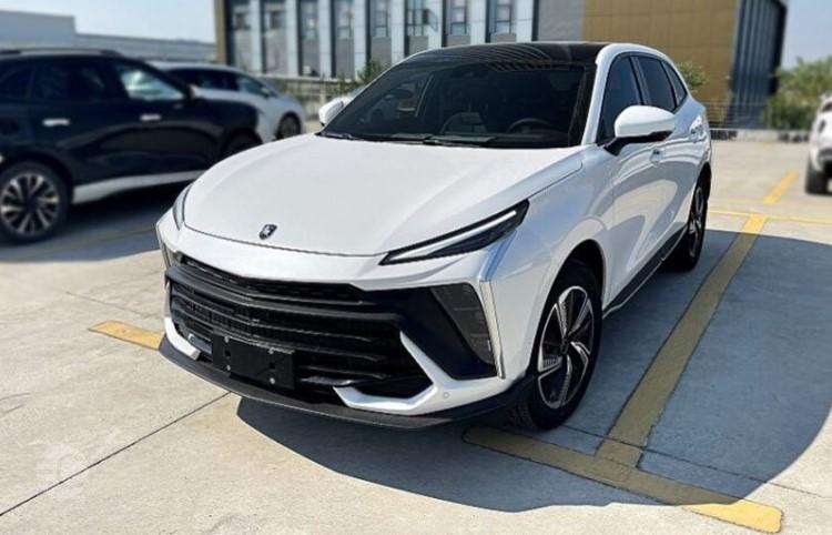 لاماری ایما