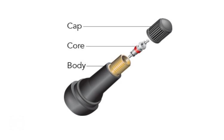 اجزای والف لاستیک