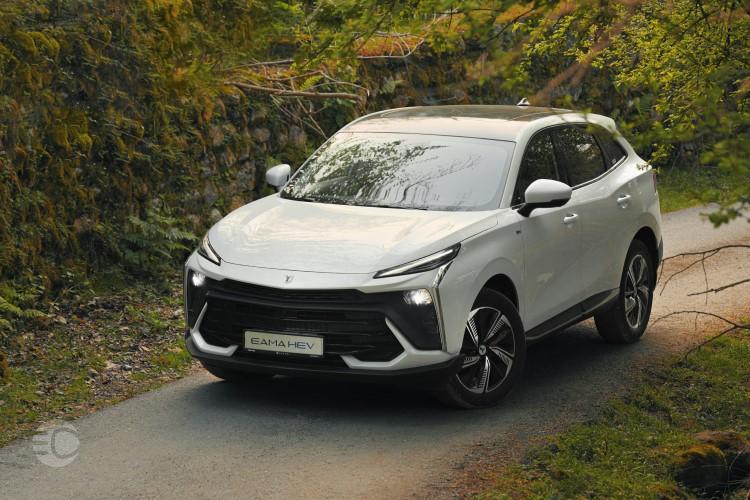 لاماری ایما هیبرید