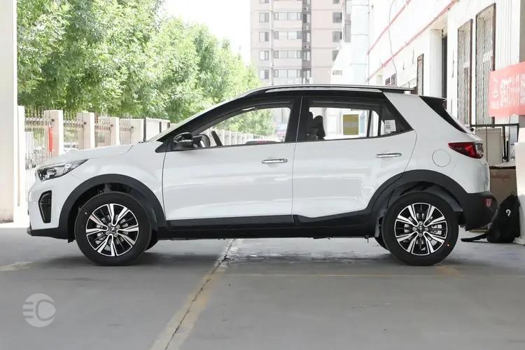 آپشن های کیا استونیک