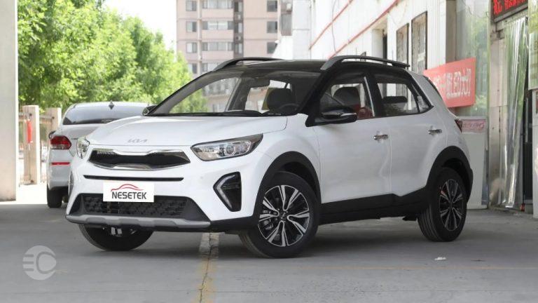 بررسی کیا استونیک